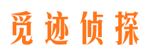 江东市侦探调查公司